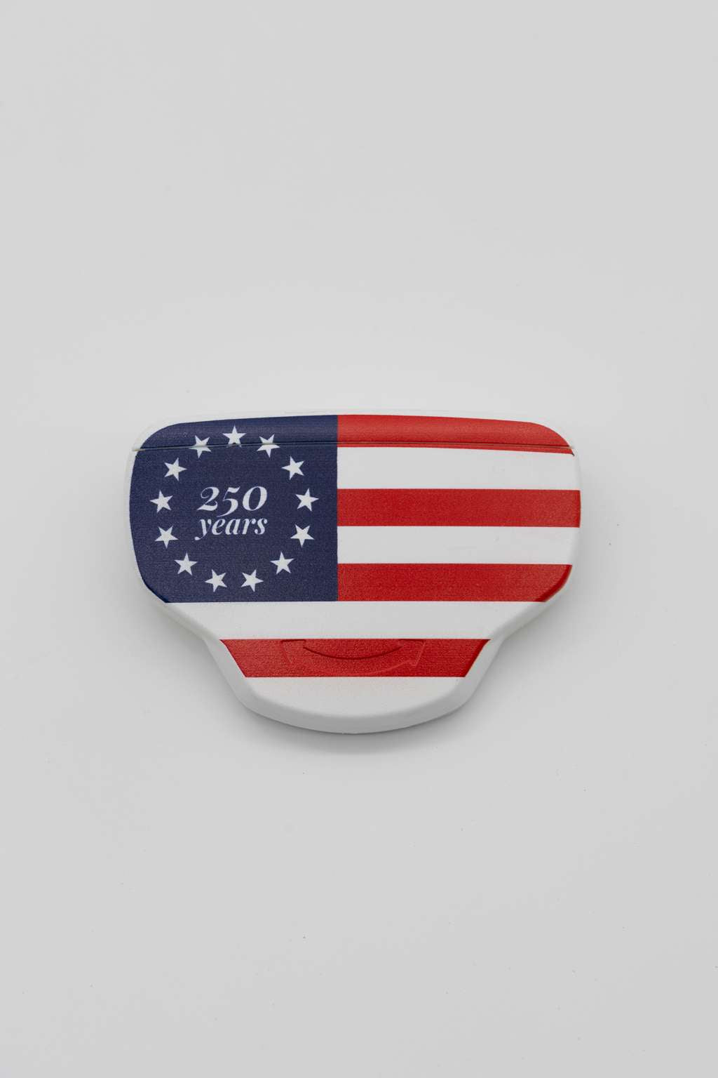 Systainer³ 250 Year USA Flag Catch